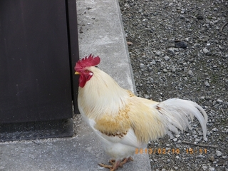 s-IMGP7447.jpg